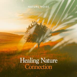 Healing Nature Connection - Nature Noise