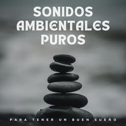 Sonidos ambientales puros para tener un buen sueño - Sonidos para dormir Ruidos ambientales
