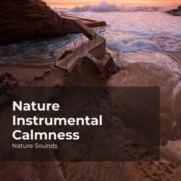 Nature Instrumental Calmness - Nature Sounds