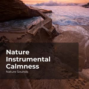Nature Instrumental Calmness - Nature Sounds