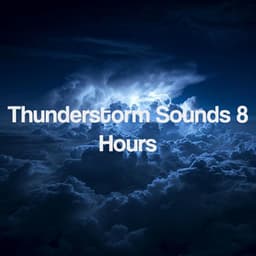 Thunderstorm Sounds 8 Hours - Thunderstorm Sound Bank