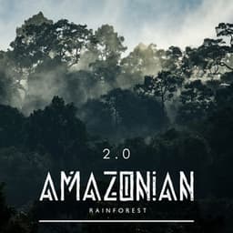 Amazonian Rainforest 2.0 - Forest Hills Music Universe