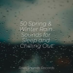 50 Spring & Winter Rain Sounds for Sleep and Chilling Out - MEDITATION SPA