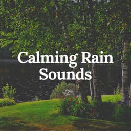Calming Rain Sounds - Rain Hard