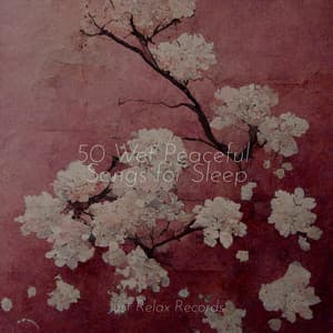 50 Wet Peaceful Songs for Sleep - Meditación Guiada
