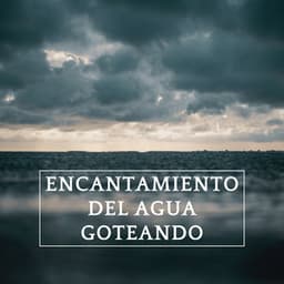 Encantamiento Del Agua Goteando - Sonidos de lluvia ASMR