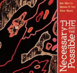 The Necessary and the Possible - Joe Morris