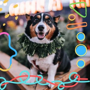 Echoes of Calming Dogs - Relaxing Dogs