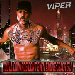 YOU'LL COWARDS DON'T EVEN SMOKE CRACK 5.1.1 - Viper