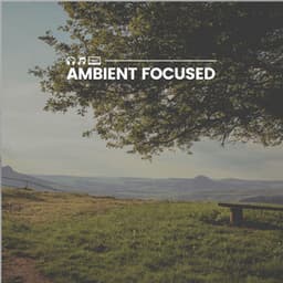 Ambient Focused - Day Spa Music