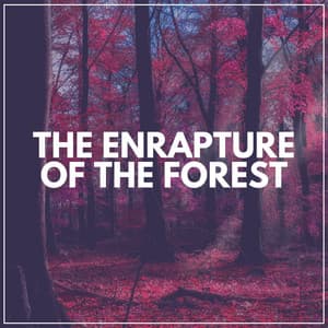 The Enrapture of the Forest - Forest Soundscapes