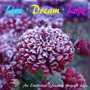Live, Dream, Love - Johann Sebastian Bach