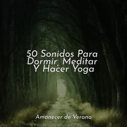 50 Sonidos Para Dormir, Meditar Y Hacer Yoga - Yoga Sounds