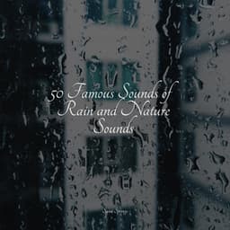 50 Famous Sounds of Rain and Nature Sounds - Oasis de Détente et Relaxation