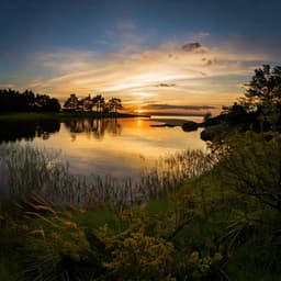 Relaxation Mood: Hip Hop for Calm - Relaxation Music Playlist