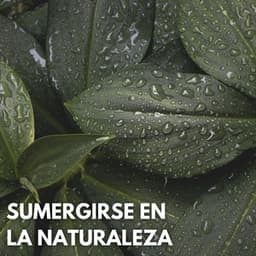 Sumergirse En La Naturaleza - Acústica de la Naturaleza