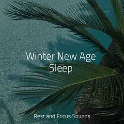 Winter New Age Sleep - Deep Focus