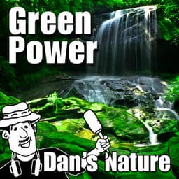Green Power - Dan's Nature