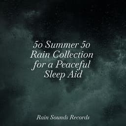 50 Summer 50 Rain Collection for a Peaceful Sleep Aid - Calming Sounds