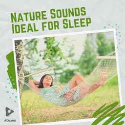 Nature Sounds Ideal for Sleep - #Calming