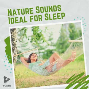 Nature Sounds Ideal for Sleep - #Calming