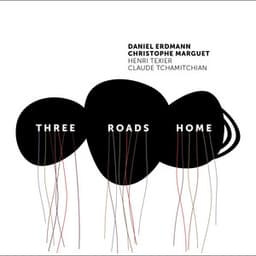 Three Roads Home - Daniel Erdmann