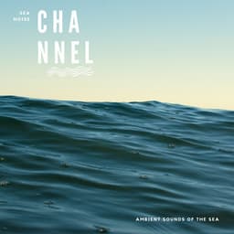 Ambient Sounds of the Sea - Sea Noise Channel
