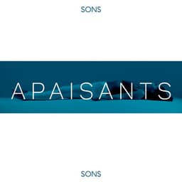 Sons apaisants - Sommeil réparateur, Relaxation au spa, Méditation profonde, Entraînement de yoga - Sanctuaire de méditation bouddhiste