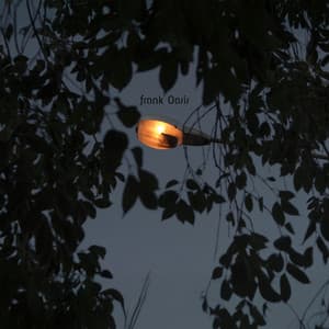 Candlelight After Moonrise - Frank Oasis