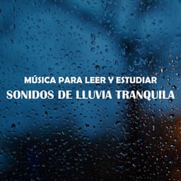 Música para Leer y Estudiar: Sonidos de Lluvia Tranquila - Musica Para Leer