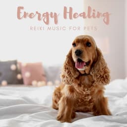 Energy Healing Reiki Music for Pets - Reiki for Animals