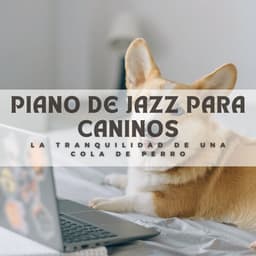 Piano De Jazz Para Caninos: La Tranquilidad De Una Cola De Perro - El piano amistoso