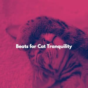 Beats for Cat Tranquility - Work & Jazz Background Music