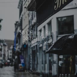 50 Calming Rain Sounds for a Peaceful Mind - Sleep Sounds of Nature