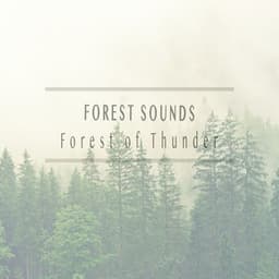 Forest of Thunder - Forest Sounds