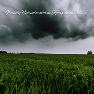 Windy Thunderstorm Relaxation Vol. 2 - Deep Sleep Relaxation