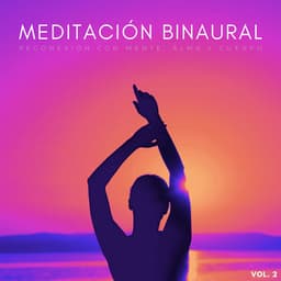 Meditación Binaural: Reconexión Con Mente, Alma Y Cuerpo Vol. 2 - Estudio de ritmos binaurales puros