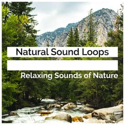Natural Sound Loops - Relaxing Sounds Of Nature
