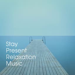 Stay Present Relaxation Music - Oasis de Détente et Relaxation