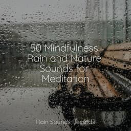 50 Mindfulness Rain and Nature Sounds for Meditation - Calming Sounds