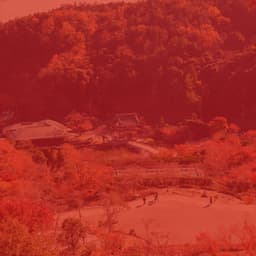 Jazz Guitar Solo - Background Music for Storytelling - Elevator Music All-Stars