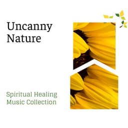 Uncanny Nature - Spiritual Healing Music Collection - Spa Music Relaxation