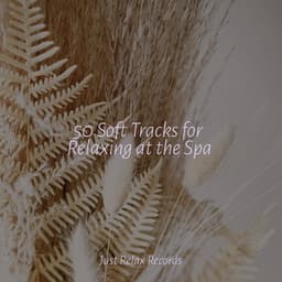 50 Soft Tracks for Relaxing at the Spa - Musica Reiki