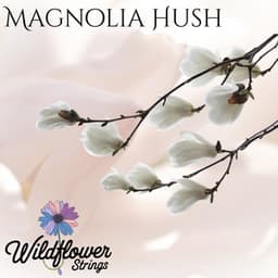 Magnolia Hush - Wildflower Strings