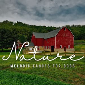 Tail-Wagging Tunes: Melodic Echoes for Dogs - Pet Music