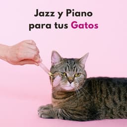 Jazz Y Piano Para Tus Gatos - Barra de jazz con piano