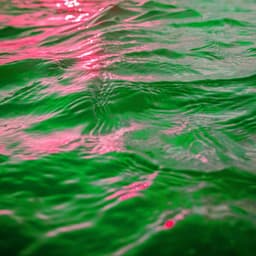 Phenomenal Lo-fi - Background for Calm Classics - Simple Lo-Fi