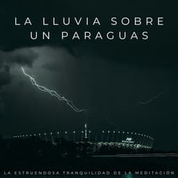 La Lluvia Sobre Un Paraguas: La Estruendosa Tranquilidad De La Meditación - Meditaciones de lluvia