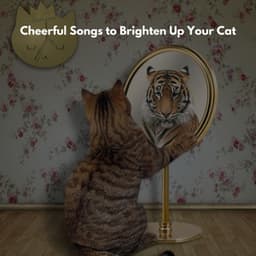 Cheerful Songs to Brighten Up Your Cat - Hotel Lobby Music Moments