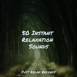 50 Instant Relaxation Sounds - Kinderliedjes